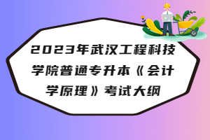 ?2023年武漢工程科技學(xué)院普通專升本《會計學(xué)原理》考試大綱