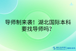 導(dǎo)師制來(lái)襲！湖北國(guó)際本科要找導(dǎo)師嗎？
