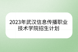 2023年武漢信息傳播職業(yè)技術(shù)學(xué)院招生計(jì)劃