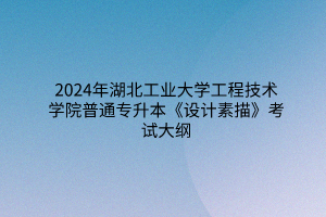 2024年湖北工業(yè)大學工程技術(shù)學院普通專升本《設(shè)計素描》考試大綱