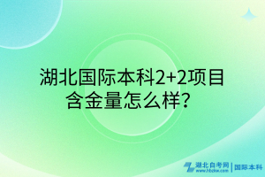 湖北國(guó)際本科2+2項(xiàng)目含金量咋樣？