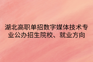 湖北高職單招數(shù)字媒體技術(shù)專業(yè)公辦招生院校、就業(yè)方向