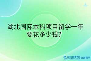 湖北國際本科項目留學(xué)一年要花多少錢？