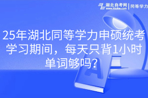 25年湖北同等學(xué)力申碩統(tǒng)考學(xué)習(xí)期間，每天只背1小時單詞夠嗎？