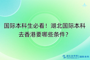國際本科生必看！湖北國際本科去香港要哪些條件？