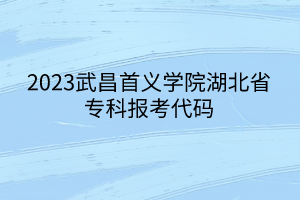 2023武昌首義學(xué)院湖北省?？茍?bào)考代碼