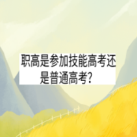 職高是參加技能高考還是普通高考？