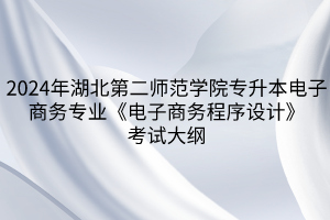 2024年湖北第二師范學(xué)院專升本?電子商務(wù)專業(yè)《電子商務(wù)程序設(shè)計》考試大綱