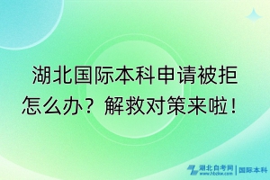 湖北國(guó)際本科申請(qǐng)被拒怎么辦？解救對(duì)策來(lái)啦！