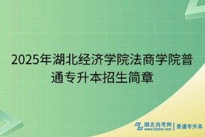 2025年湖北經(jīng)濟學院法商學院普通專升本招生簡章