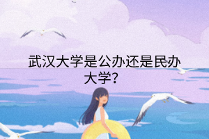 武漢大學(xué)是公辦還是民辦大學(xué)？