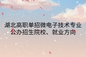 湖北高職單招微電子技術(shù)專業(yè)公辦招生院校、就業(yè)方向