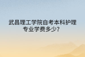武昌理工學(xué)院自考本科護(hù)理專(zhuān)業(yè)學(xué)費(fèi)多少？