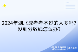 2024年湖北成考考不過的人多嗎？沒到分數(shù)線怎么辦？
