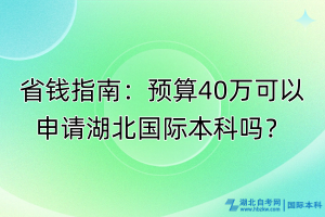 省錢指南：預算40萬可以申請湖北國際本科嗎？
