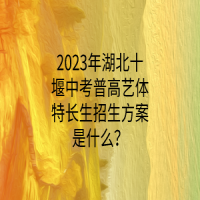 2023年湖北十堰中考普高藝體特長生招生方案是什么？