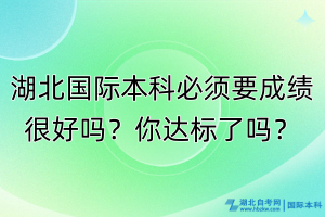 湖北國(guó)際本科必須成績(jī)很好嗎？你達(dá)標(biāo)了嗎？