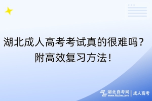 湖北成人高考考試真的很難嗎？附高效復(fù)習(xí)方法！