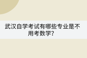 武漢自學(xué)考試有哪些專業(yè)是不用考數(shù)學(xué)？