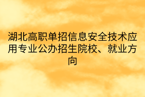 湖北高職單招信息安全技術(shù)應(yīng)用專(zhuān)業(yè)公辦招生院校、就業(yè)方向
