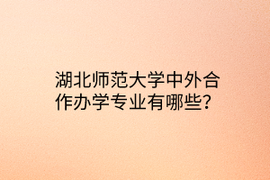 湖北師范大學(xué)中外合作辦學(xué)專業(yè)有哪些？