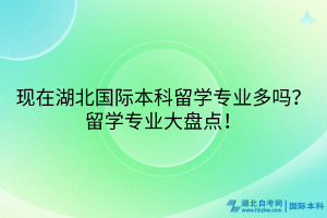 現(xiàn)在湖北國際本科留學(xué)專業(yè)多嗎？留學(xué)專業(yè)大盤點(diǎn)！