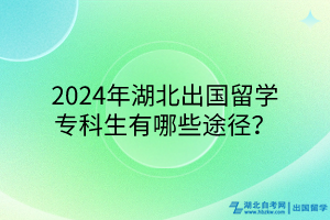 2024年湖北出國留學(xué)專科生有哪些途徑？