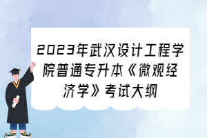 2023年武漢設(shè)計工程學(xué)院普通專升本《微觀經(jīng)濟學(xué)》考試大綱