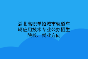 湖北高職單招城市軌道車輛應(yīng)用技術(shù)專業(yè)公辦招生院校、就業(yè)方向