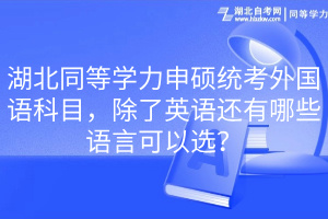 湖北同等學力申碩統(tǒng)考外國語科目，除了英語還有哪些語言可以選？