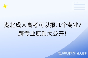 湖北成人高考可以報幾個專業(yè)？跨專業(yè)原則大公開！