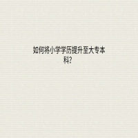 如何通過自考將小學(xué)學(xué)歷提升至大專本科？