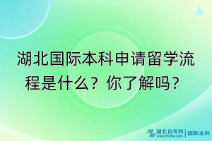 湖北國際本科申請留學(xué)流程是什么？你了解嗎？