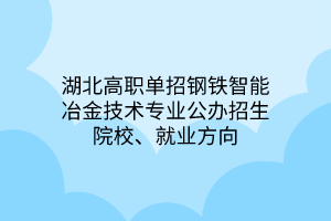 湖北高職單招鋼鐵智能冶金技術(shù)專業(yè)公辦招生院校、就業(yè)方向