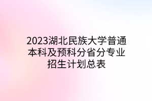 2023湖北民族大學(xué)普通本科及預(yù)科分省分專業(yè)招生計劃總表