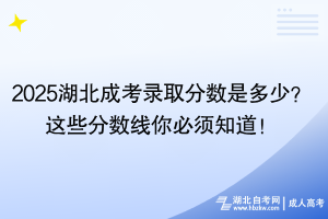 2025湖北成考錄取分數(shù)是多少？這些分數(shù)線你必須知道！