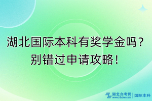 湖北國際本科有獎學(xué)金嗎？別錯過申請攻略！