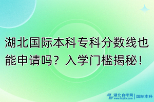 湖北國際本科?？品謹?shù)線也能申請嗎？入學門檻揭秘！