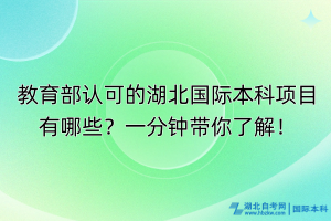 教育部認(rèn)可的湖北國(guó)際本科項(xiàng)目有哪些？一分鐘帶你了解！