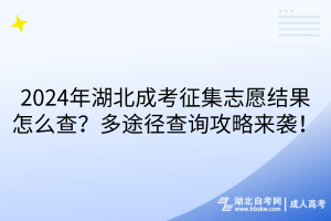 2024年湖北成考征集志愿結(jié)果怎么查？多途徑查詢攻略來襲！