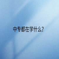 中專都在學(xué)什么？