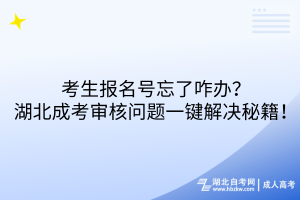 報名號忘了咋辦？湖北成考審核問題一鍵解決秘籍！