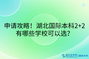 申請攻略！湖北國際本科2+2有哪些學?？梢赃x？