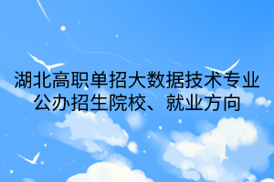 湖北高職單招大數(shù)據(jù)技術(shù)專業(yè)公辦招生院校、就業(yè)方向