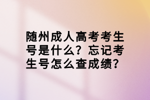 隨州成人高考考生號(hào)是什么？忘記考生號(hào)怎么查成績(jī)？