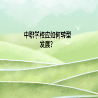 中職學校應如何轉(zhuǎn)型發(fā)展