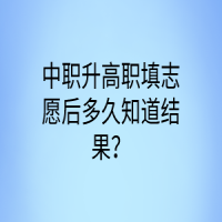 中職升高職填志愿后多久知道結果？