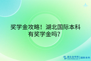 獎學(xué)金攻略！湖北國際本科有獎學(xué)金嗎？