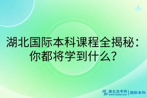 湖北國(guó)際本科課程全揭秘：你都將學(xué)到什么？