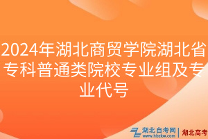2024年湖北商貿(mào)學院湖北省?？破胀愒盒I(yè)組及專業(yè)代號